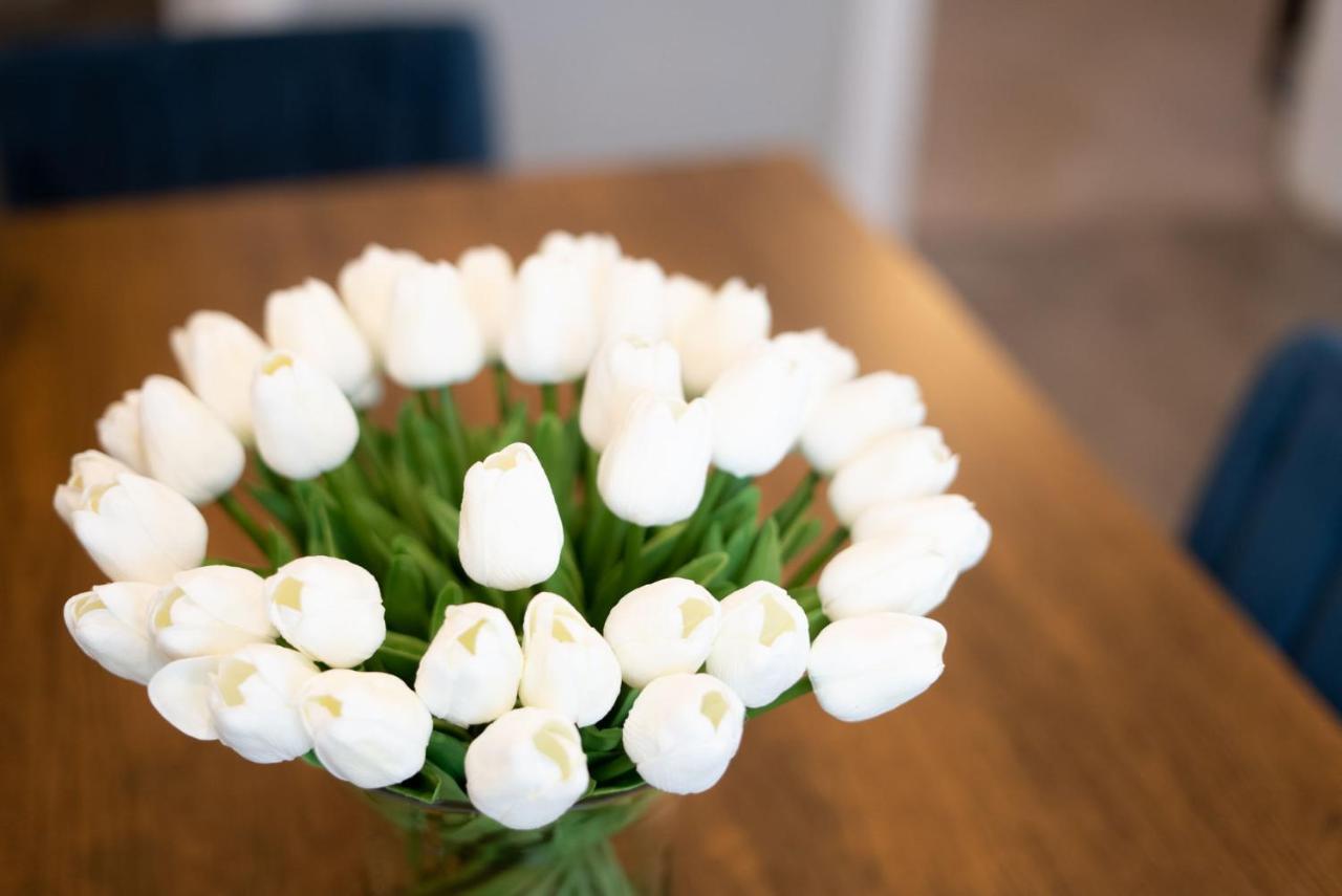 Modern 3 Bed, 2 Bath Home Minutes To Downtown & Alamodome サンアントニオ エクステリア 写真